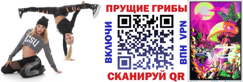Купить закладки  Борзя  Галлюциногенные грибы прущие грибы 